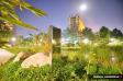 Ahmedabad, India. In tune with nature. Ahmedabad, India. In tune with nature.