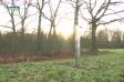 Photo: TV Limburg Photo: TV Limburg