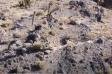 New Nevada Monolith New Nevada Monolith - Youtube clip screenshot cc 4.0 Hadrian