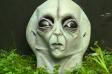 Alien Head BMMM5