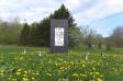 Spring Flowers 2 Cruz Second Coming 2