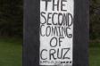 Spring Sunflowers 5 Cruz Second Coming 5