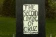 Spring Sunflowers 18 Cruz Second Coming 18