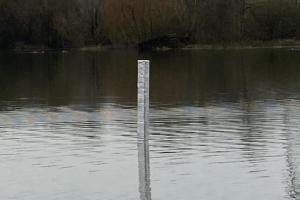 Oxford Flooded Monolith