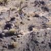 New Nevada Monolith - Youtube clip screenshot cc 4.0 Hadrian